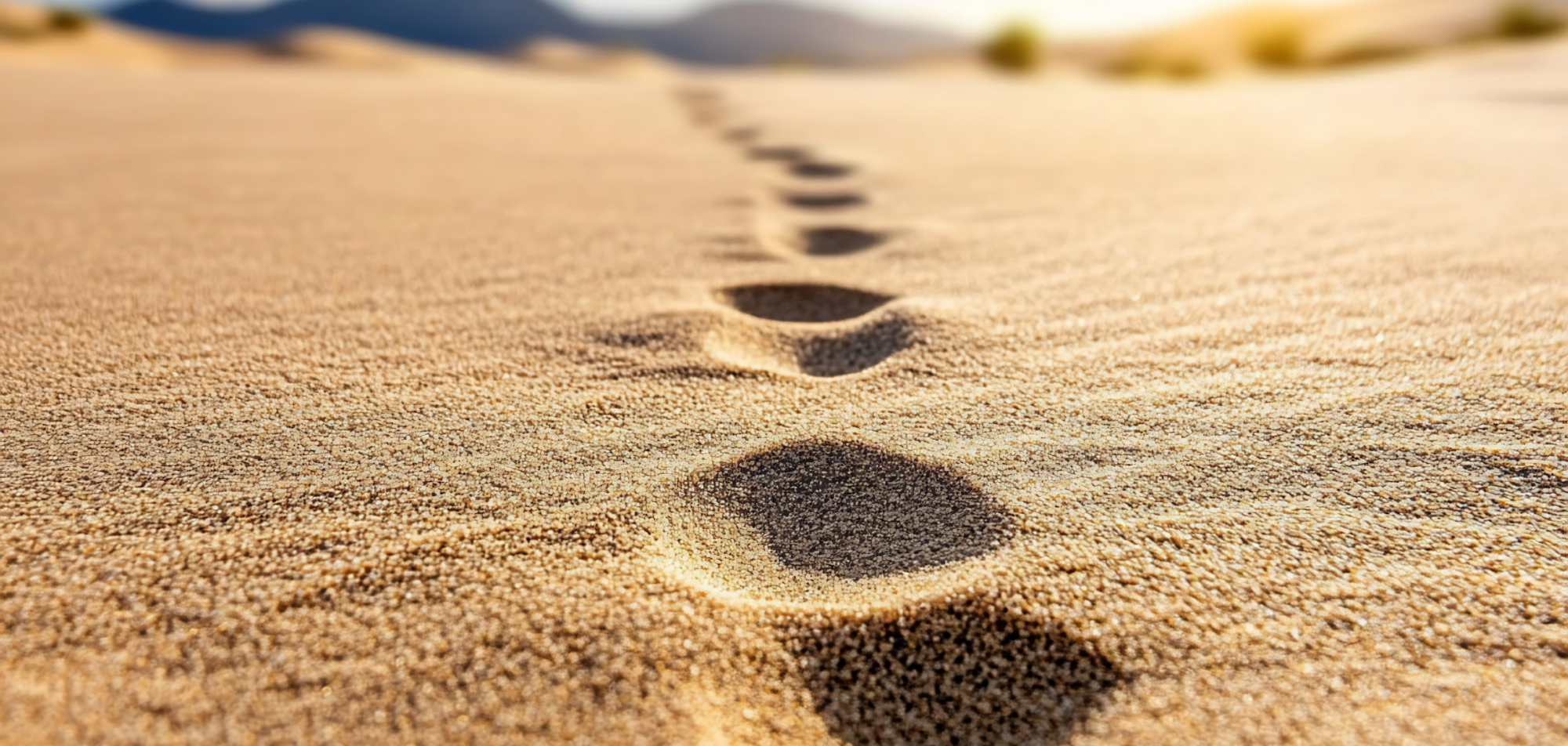 Footprints leading across sand towards distant hills